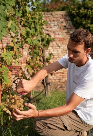 ヴェニッサ（VENISSA） | BELLA LUPA