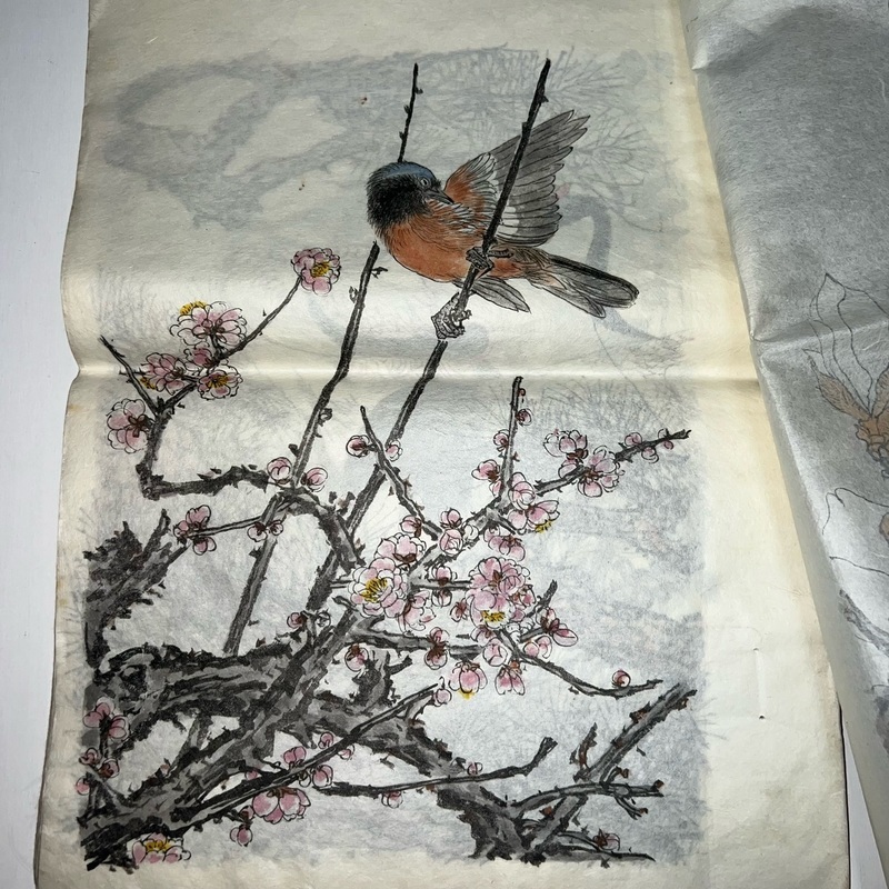 幕末屋 • 景年花鳥画譜 今尾景年画 写本 2冊 (日本の写本 ) • 希少な本