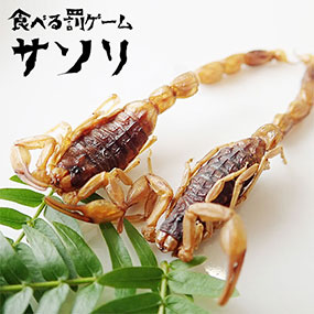 罰ゲーム食べる昆虫 サソリ(アーマーテイルスコーピオン)｜景品ゲット