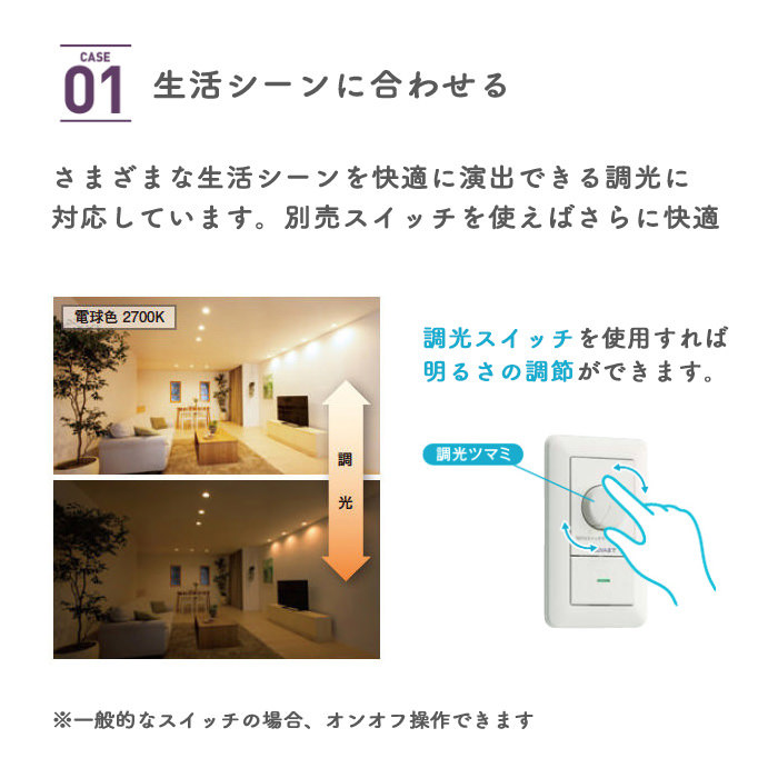 ダウンライト Φ100 電球色 60W相当 室内屋外兼用｜シルバー｜照明の