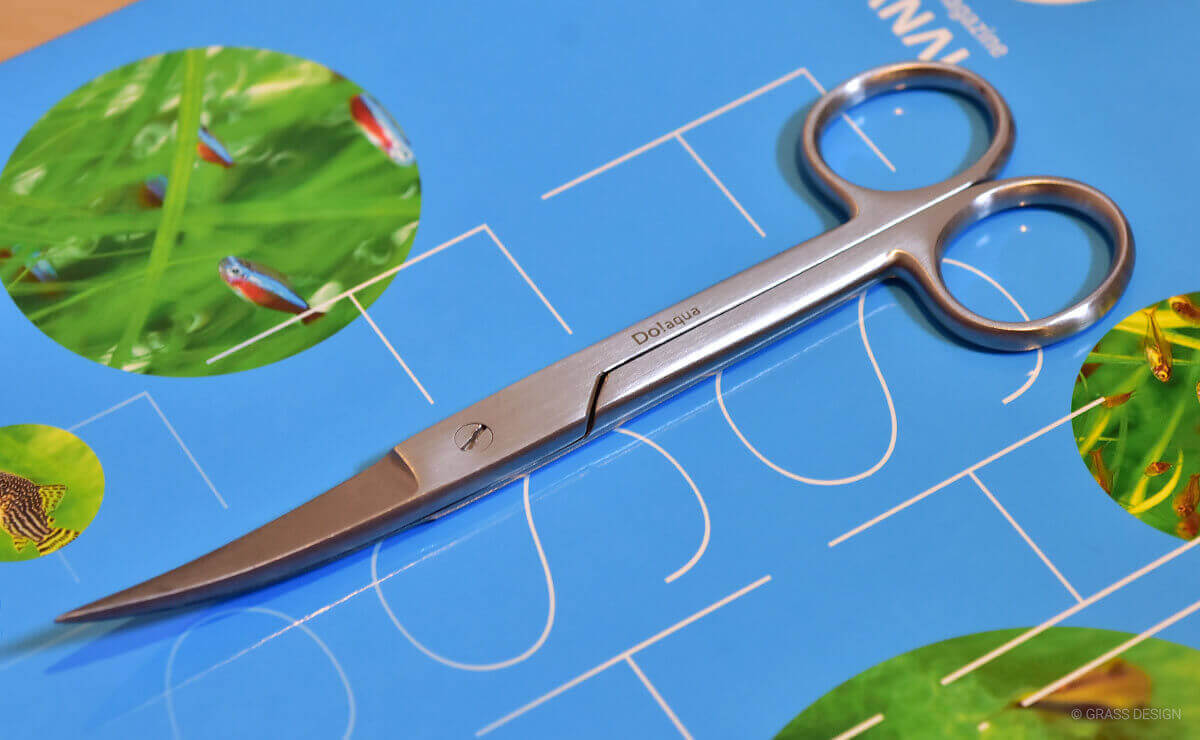 2017版】おすすめの水草用ハサミはDOOAのアクアシザース！ | GRASS