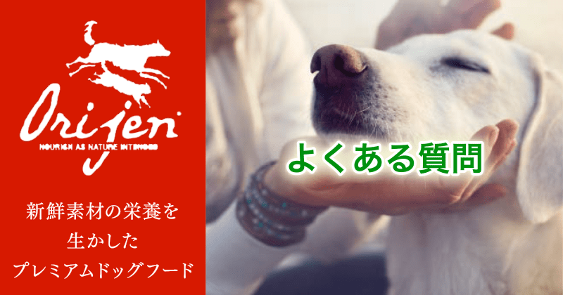 オリジン オリジナル 6kg 【賞味期限間近のため】特別割引オリジン・犬