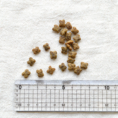 ナウ フレッシュ グレインフリー スモールブリード シニア＆ウェイト