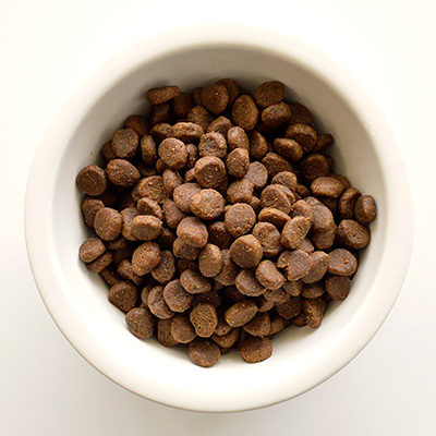 オリジン パピー ORIJOPN1-00 | オリジン | GREEN DOG & CAT（グリーン