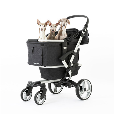 Piccolo Cane VENTO（ベント） CZGDPCCV-GR | ソノタゲンセン | GREEN