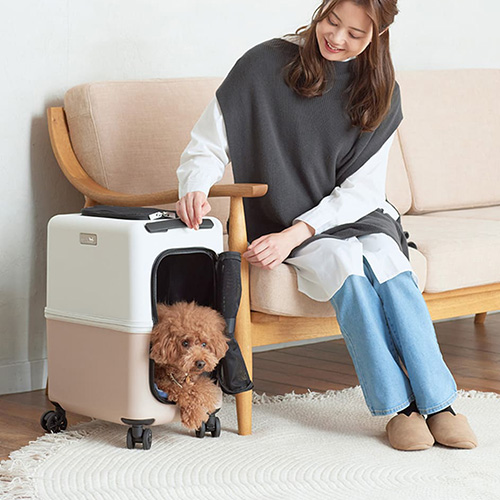 ペットリコ はぁとfull 未開封品と1回使用ichi +のセット ペットリコ