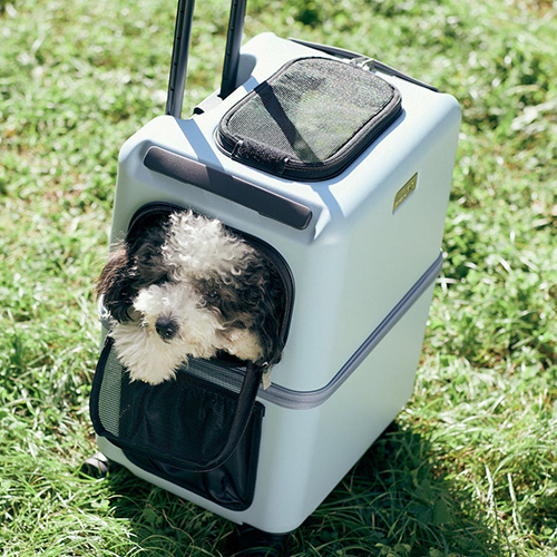 PETiCO（ペチコ）「iCO」ペットキャリー CZGDPTIM-BL | ソノタゲンセン