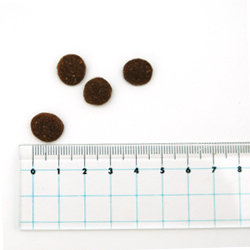 アカナ アダルトスモールブリードレシピ ACANAAS7-00 | アカナ | GREEN