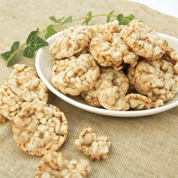 アブソルート エアドライドッグトリーツ グランドプレーリー（チキン