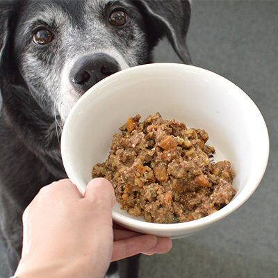 テラカニス ピュア チキン TRCNTCPC-00 | テラカニス | GREEN DOG