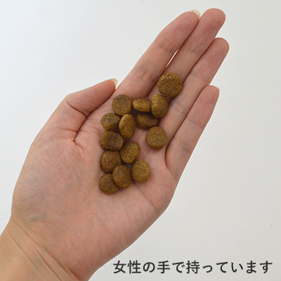 トライプドライ ベニソントライプ TRPDTRV5-00 | トライプドライ