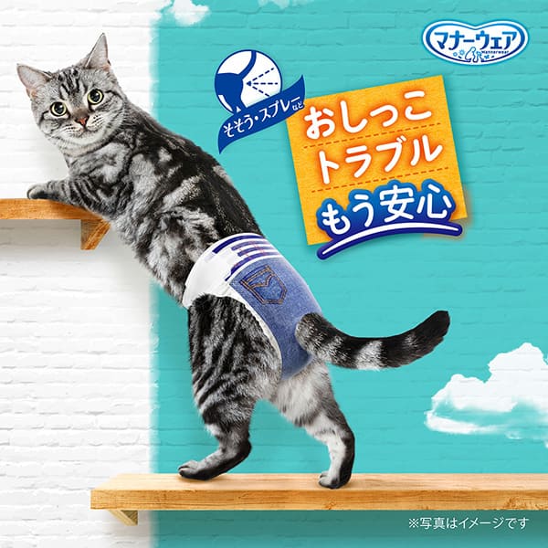 マナーウェアねこ用Sサイズ｜ユニ・チャーム ダイレクトショップ