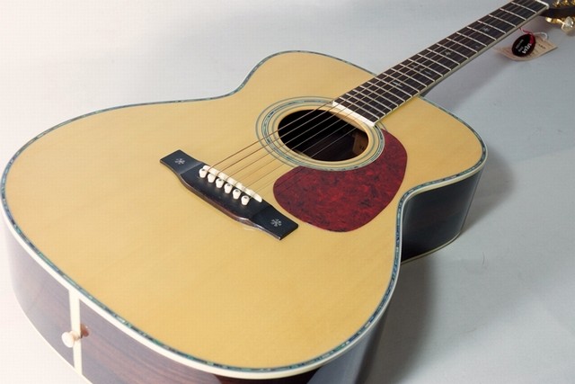 Aria Dreadnought 【AF-60 / トップ単板】 | D-plus-stock