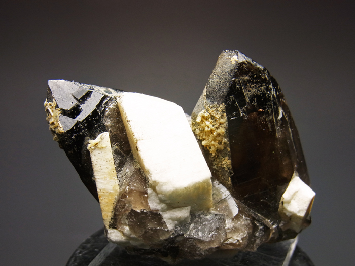 岐阜県蛭川田原産 黒水晶＆微斜長石 (Morion & Microcline / Japan