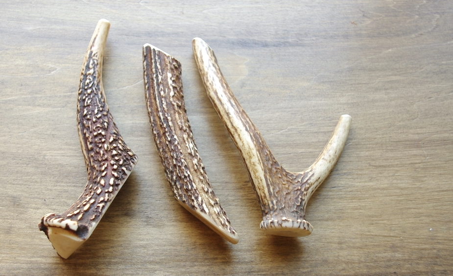 天然鹿の角 噛むおもちゃ 【高知産】