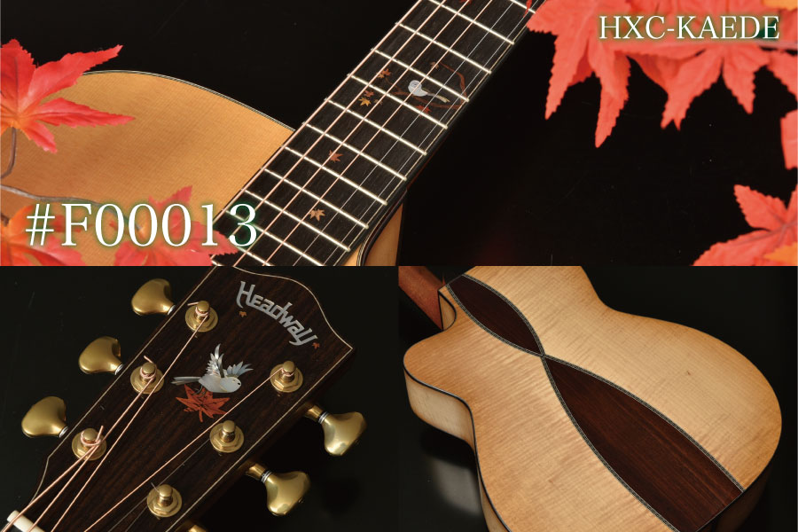 CUSTOMSHOP | Deviser ｜株式会社ディバイザー｜長野県松本市のギター