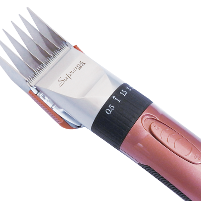 株式会社デン＆ケリー｜サプリーム事業部