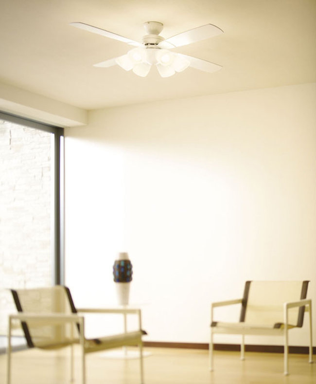 LED 昼白色 6灯 薄型 軽量 ダイコー製シーリングファンライト【DJE062