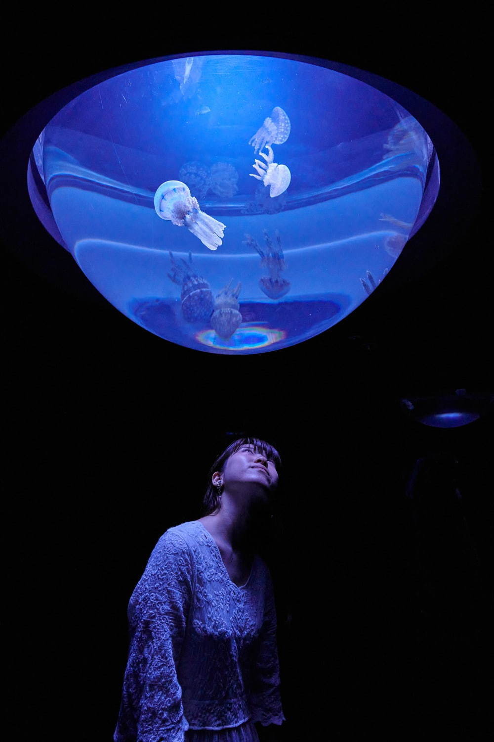 クラゲ水槽 海月水景 persona plax 円形水槽 クラゲ水槽 海月水景