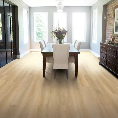 ヘレナモルフォ 136mm Amazon.co.jp: Butterfly Specimen Helena