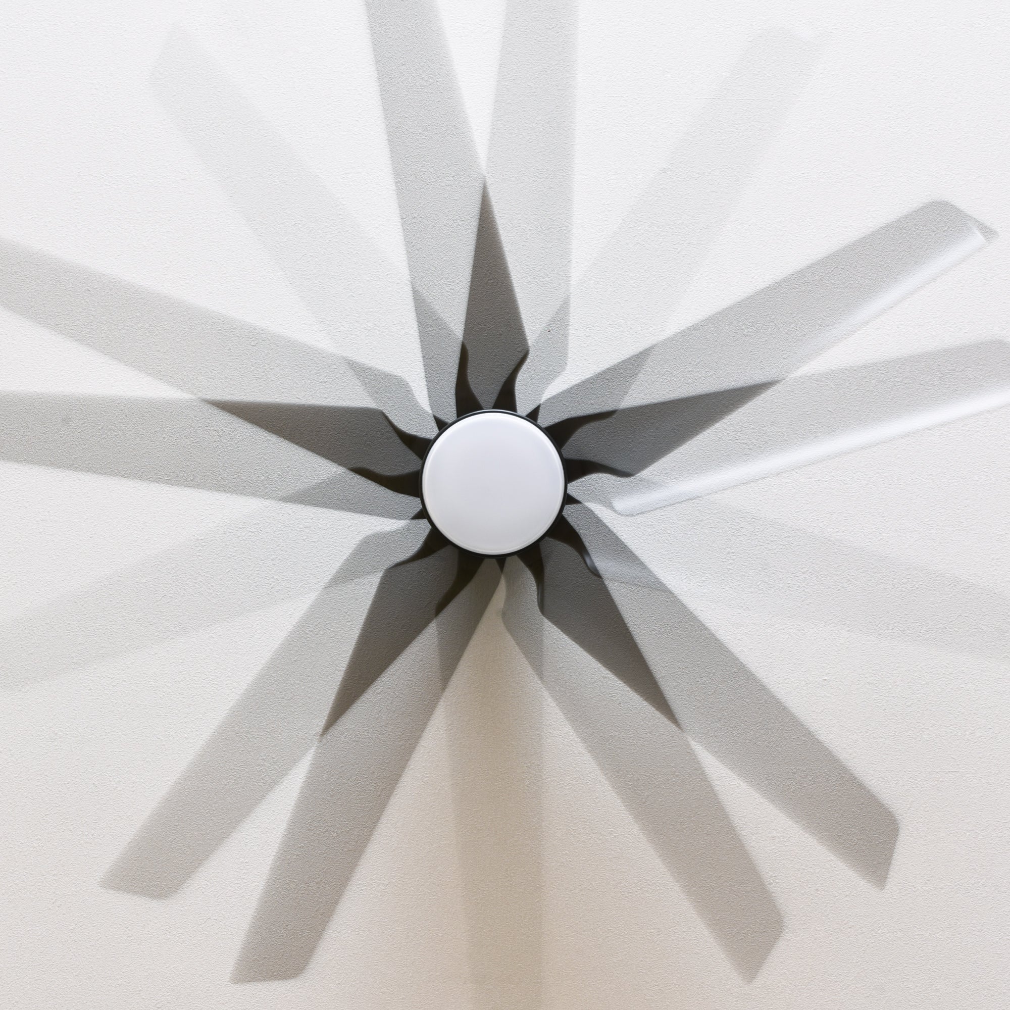 clf-finia_ds9.jpg?v=1689132448