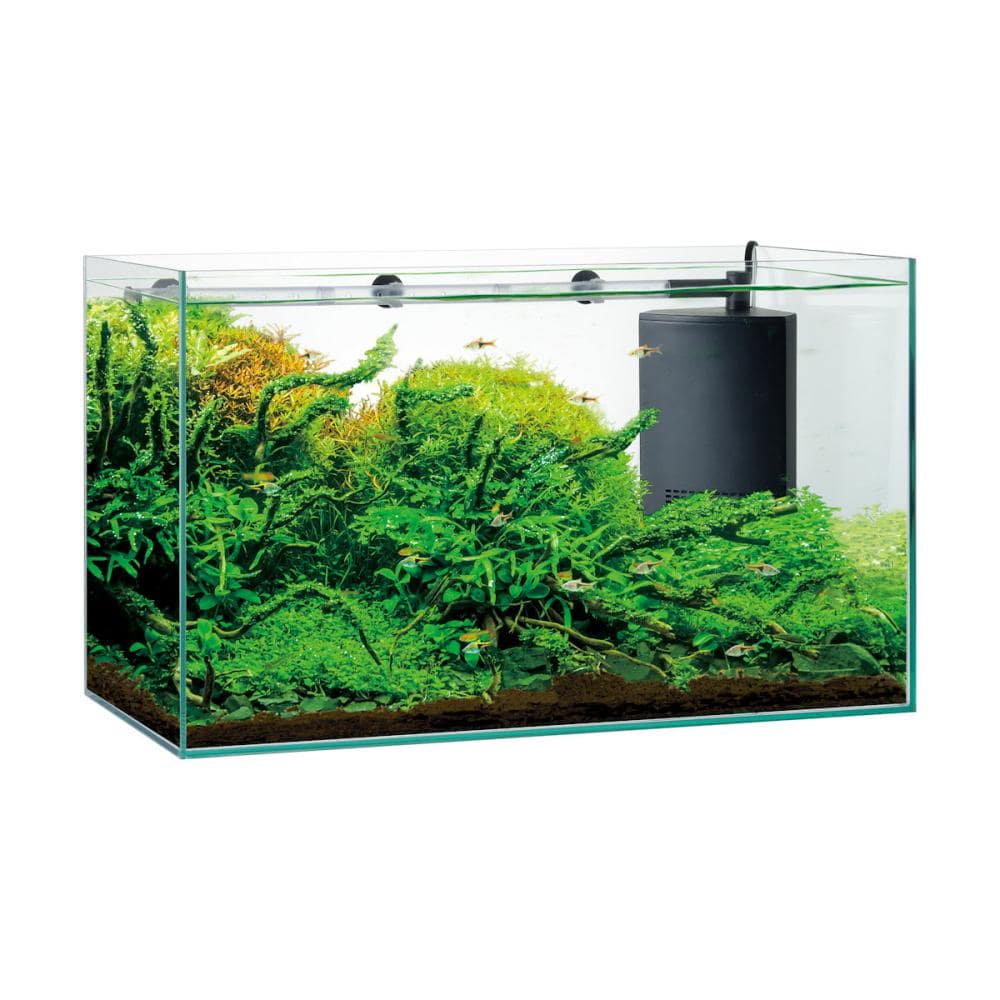 GEX グラステリア 600 ST の通販 | ホームセンター コメリドットコム