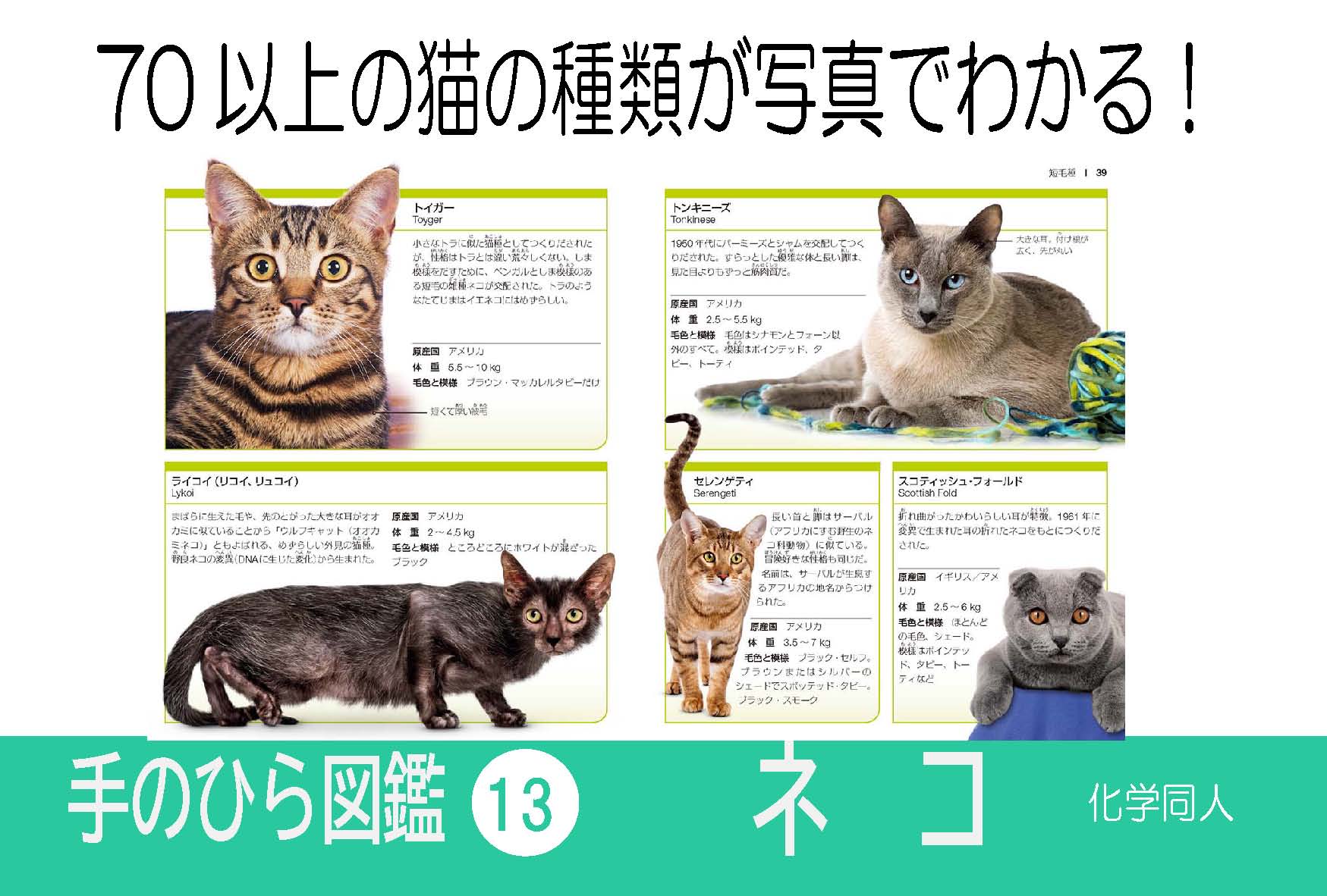 ネコ - 株式会社 化学同人