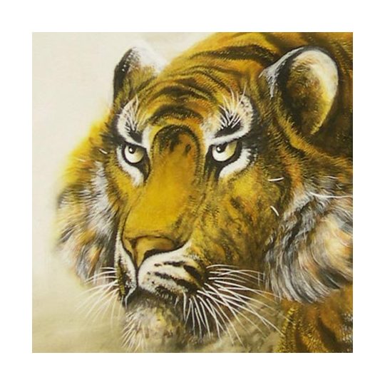 掛け軸 猛虎 (堀江玉鳳) 送料無料 【掛軸】【一間床】【虎】 商品詳細