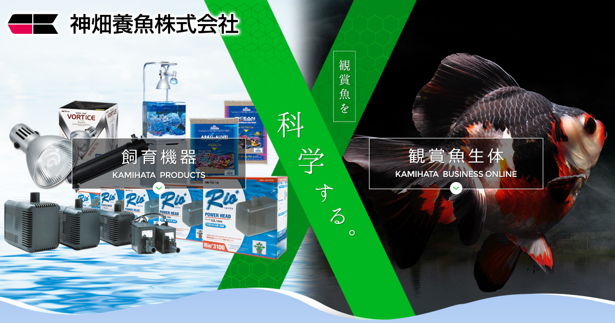 海道達磨プロテインスキマー：海道シリーズ ～神畑養魚株式会社～