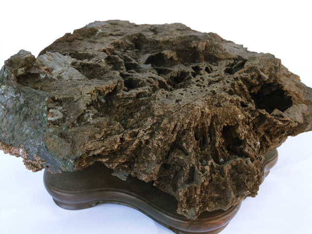 菊花石 自然の菊 サバ菊