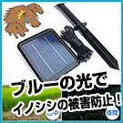 LED通せんぼBIG」青い光でイノシシの侵入防止！従来品より発電量、蓄電