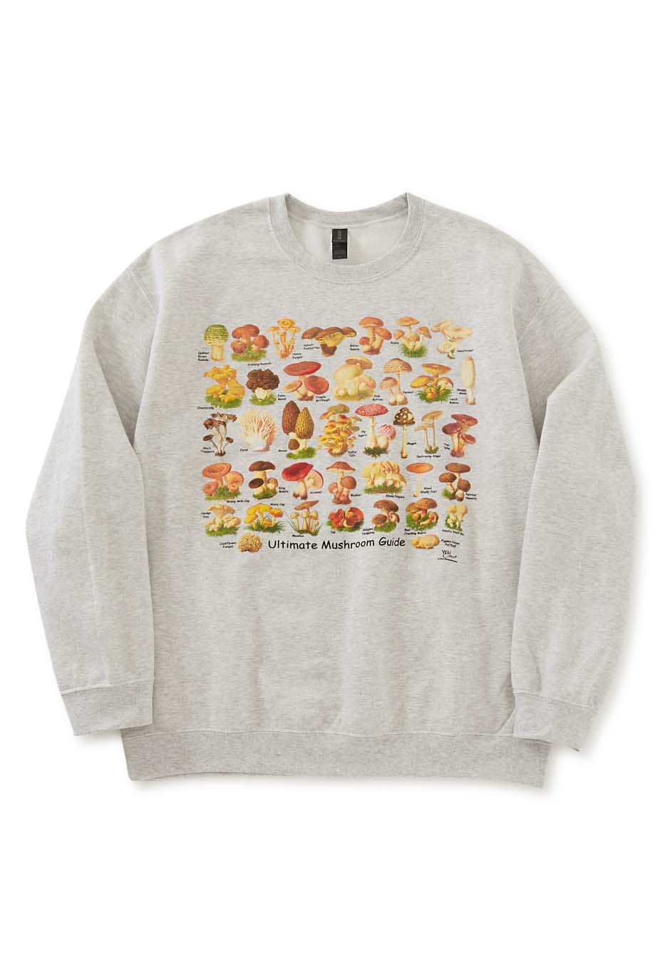 スウェット コレクション｜毎日着たくなるスウェット｜ハリウッド