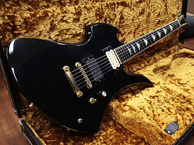 burny HIDEモデルMG280X FERNANDES