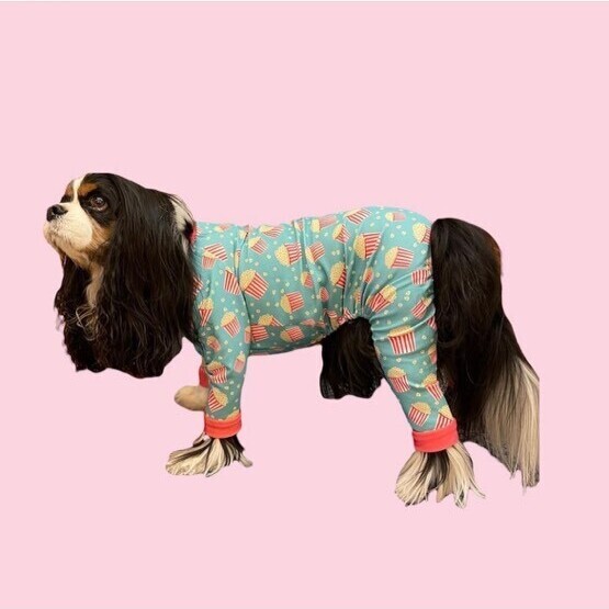 キャバスーツ イヌクローゼットおまとめ2枚 キャバスーツ試着セット