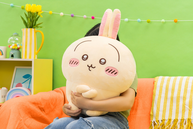 A賞 うさぎ ぬいぐるみ たぬきくじ ちいかわたぬきだもんくじA賞