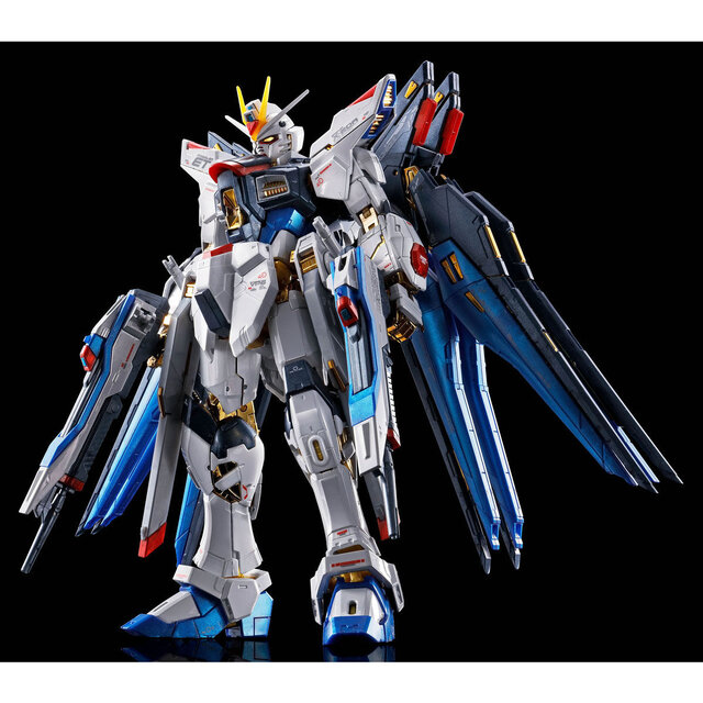 2品セット】RG ストライクフリーダム／デスティニーガンダム