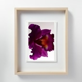 山口一郎 「HANA-green」 IDEE イデー アート フレーム 定番品】山口