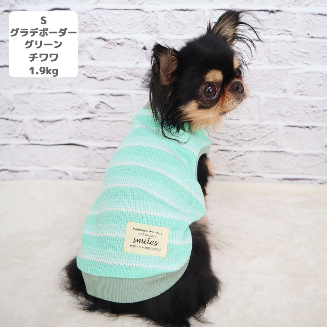 iDog リブ切替ボーダータンク アイドッグ-犬猫用品通販 IDOG&ICAT