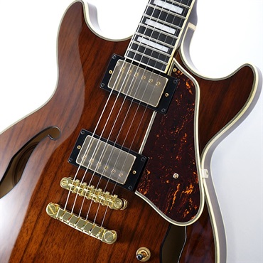 Ibanez Artcore Expressionist AM93ME-NT [SPOT MODEL] ｜イケベ楽器店