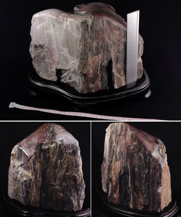 珪化木（木化石）原石置き飾り 5．2kg 天然石販売 名取貴石 天然石