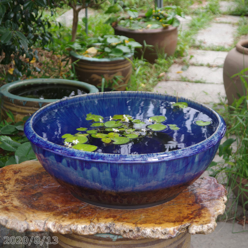 信楽焼 メダカ鉢 睡蓮鉢 水鉢 花瓶 花入れ 南蛮変形 直径35cm