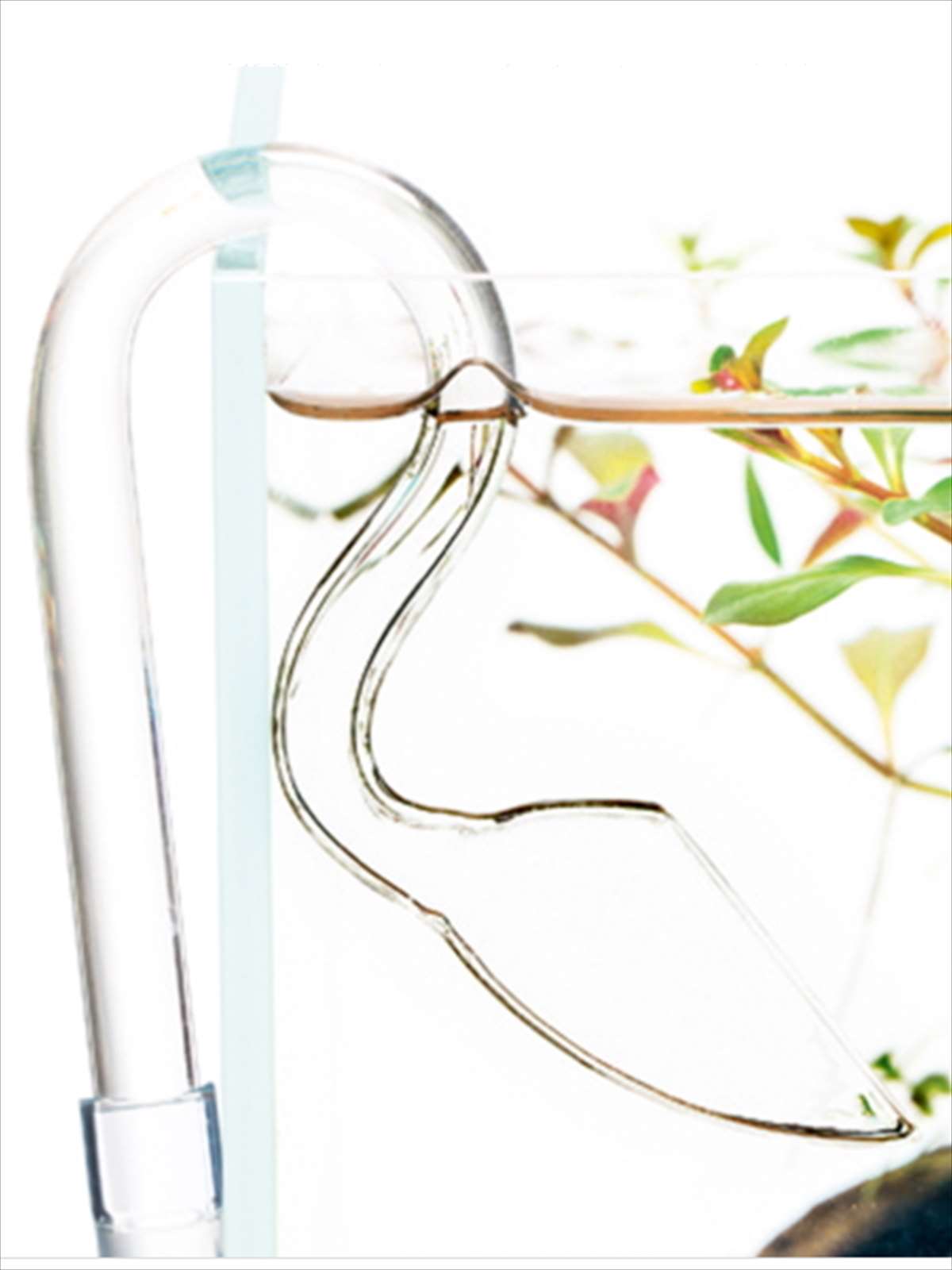 DOOA ストリームパイプ アーク P-1の販売 (アクアマリン熊本)