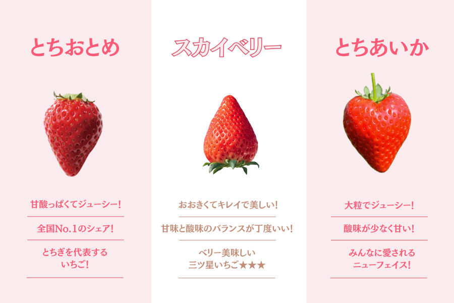 苺 とちあいか （260g×4パック） 栃木県 JAうつのみや産: とちぎ新鮮