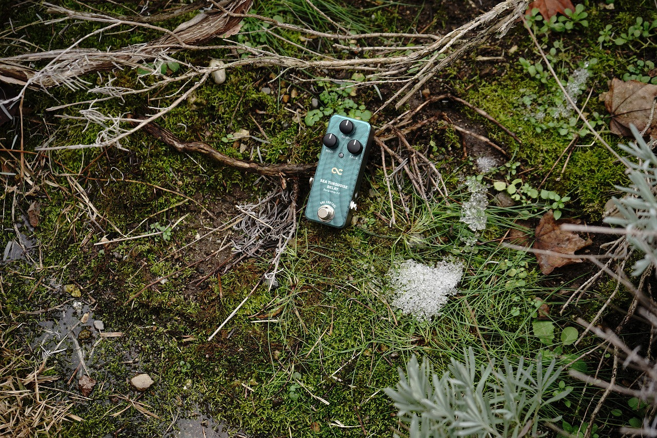 One Control SEA TURQUOISE DELAY – OneControl