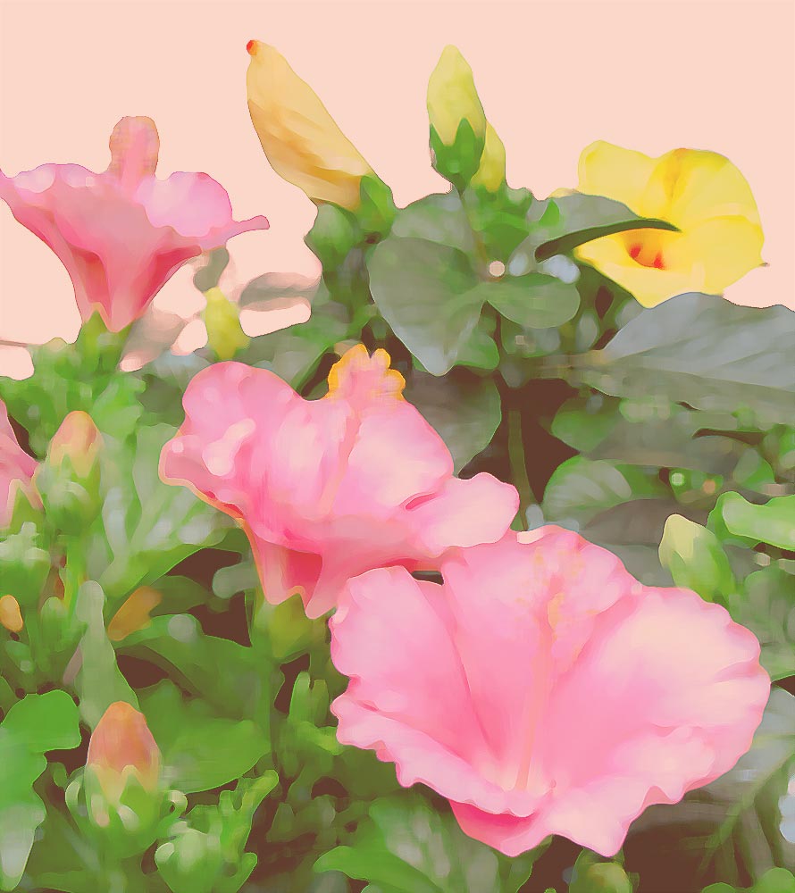 笹倉鉄平 フラワーバスケット | 絵画など美術品の販売と買取 | 東京