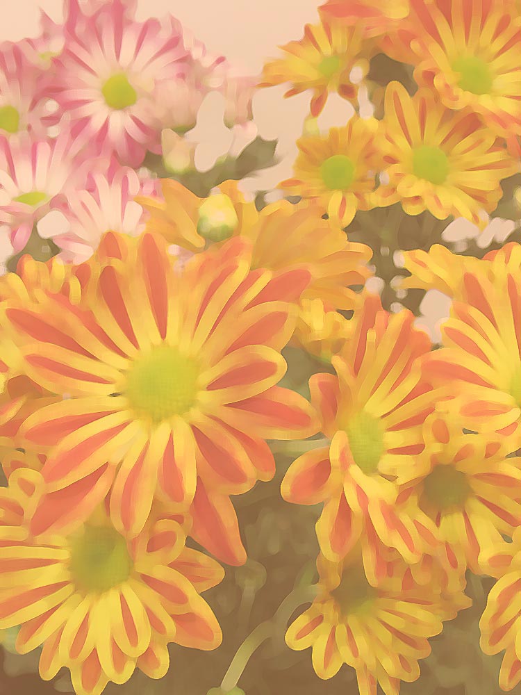 ピエールボンコンパン 油彩画 「卓上のレモン」 ピエールボンコンパン