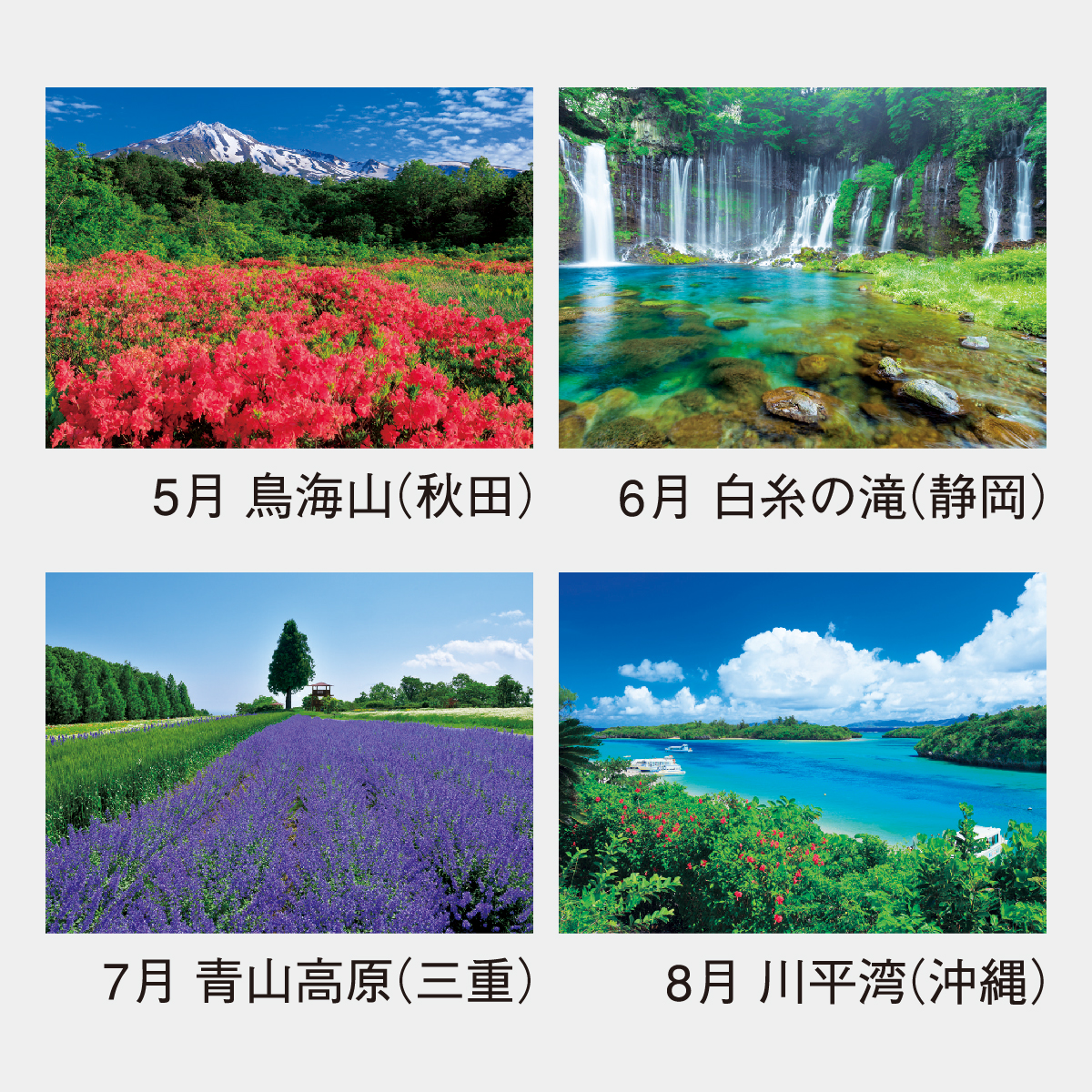 NK-138 ザ・日本2026年版の名入れカレンダーを格安で販売 - 名入れ