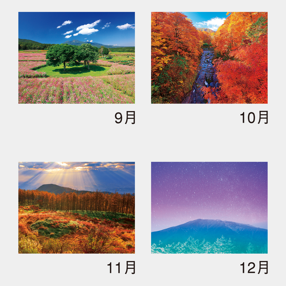 NK-84 PURE ～心に残る日本風景～(13枚)2026年版の名入れカレンダーを