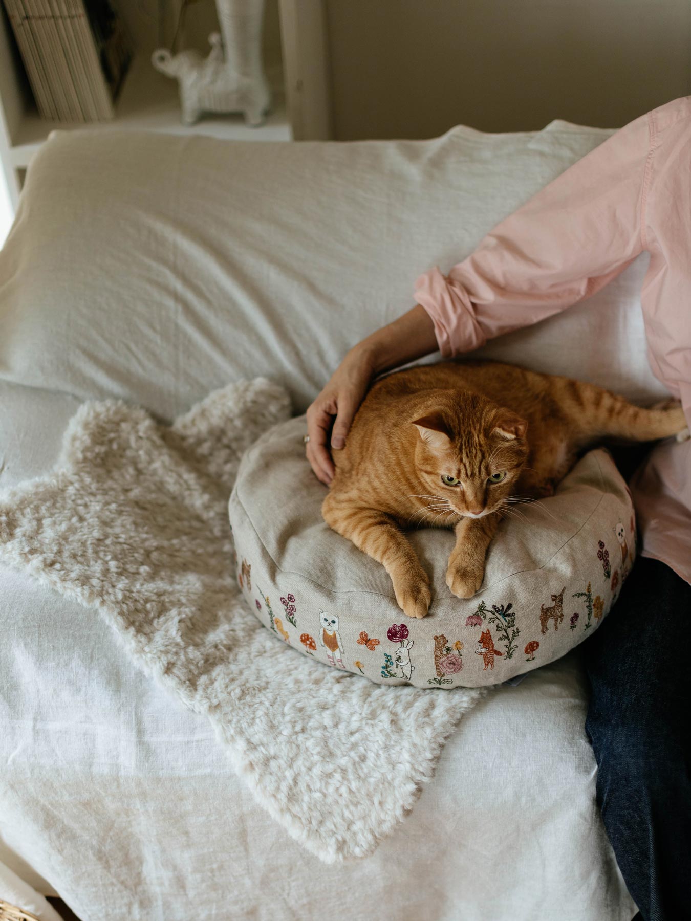 受注販売】Coral & Tusk × Orneko ラウンドネコベッド｜オルネコ