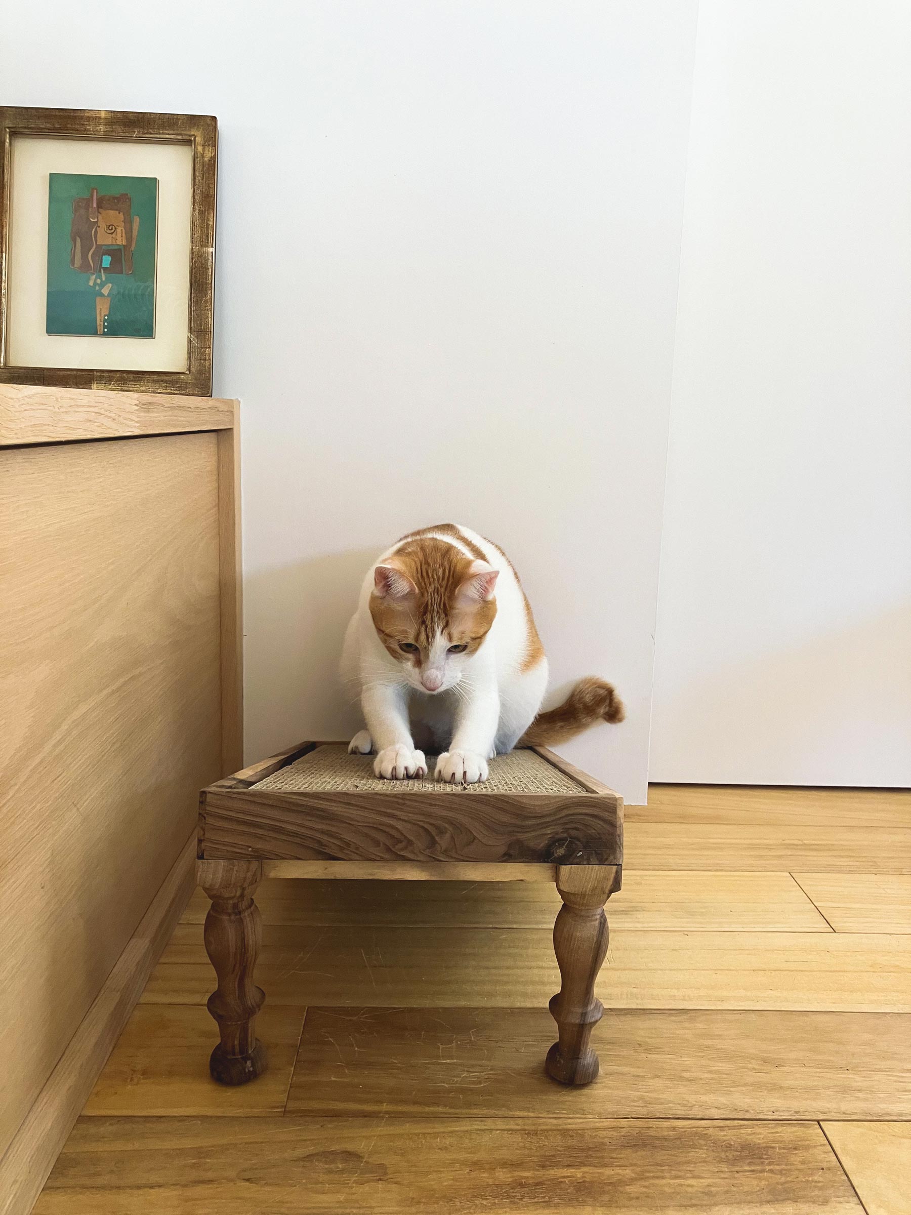 オルネコ・クルミの木の爪とぎ（フレーム・爪とぎセット）｜オルネコ